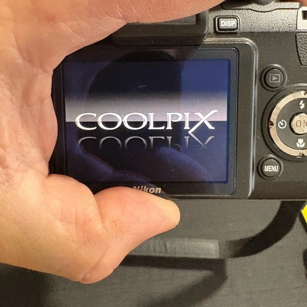 Nikon COOLPIX P80 10.1MP Digital Camera - Black With Extra Batteries/Charger